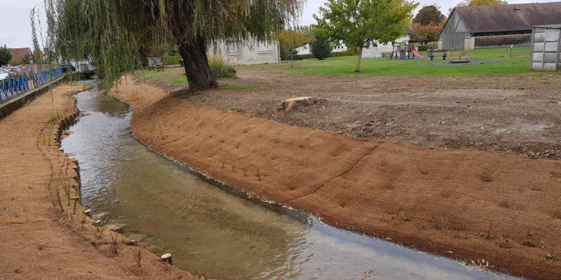 Fascines hélophytes - Protection de berges - CHOGNOT