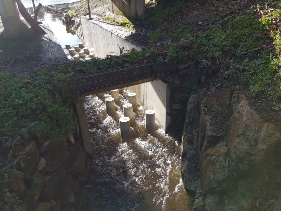 Passe à poissons en eau