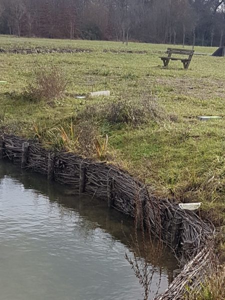 Fascines de saules - Protection de berges par CHOGNOT