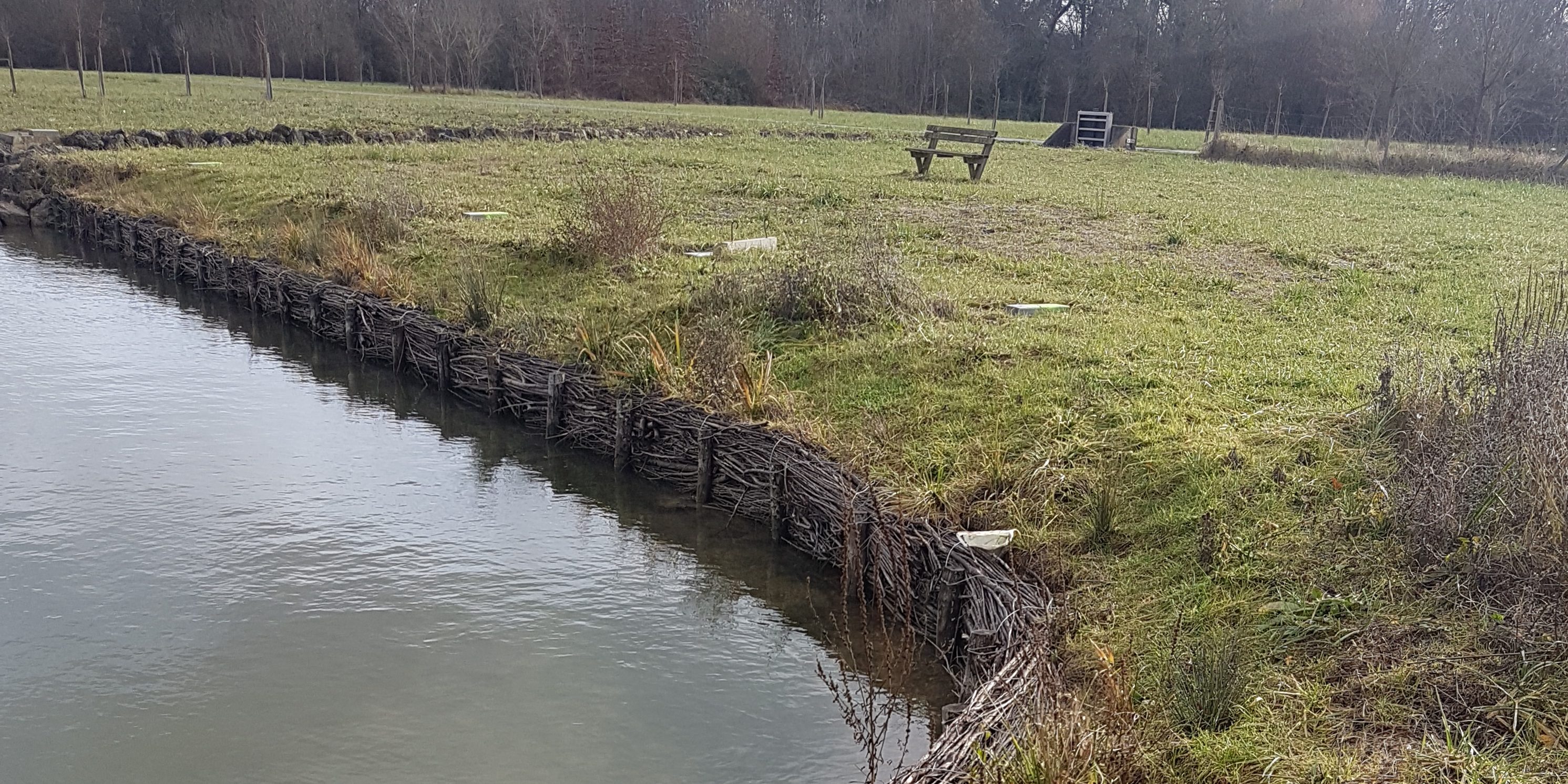 Fascines de saules - Protection de berges par CHOGNOT