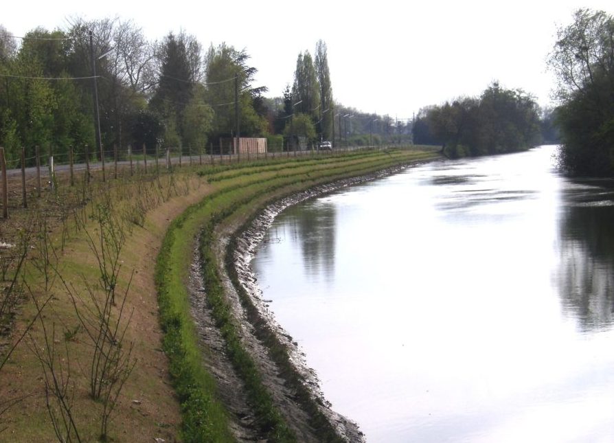 Chognot - protection mixte, enrochement en lits de plants et plançons