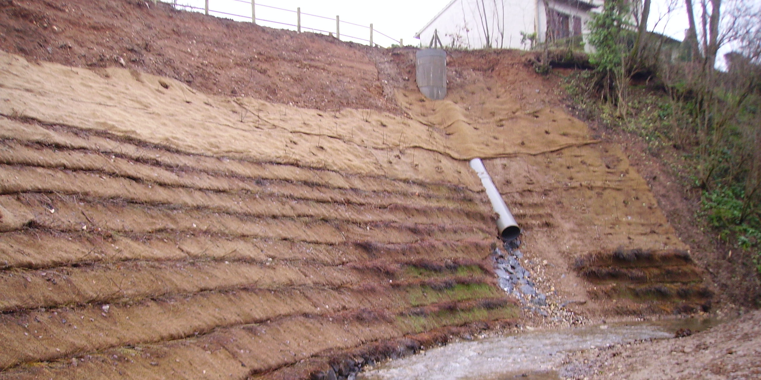 Lit de plants et plançons - Protection de berges - CHOGNOT