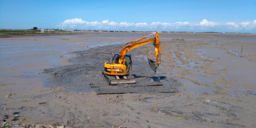 Terrassement en milieu humide - Estran île de Ré - CHOGNOT