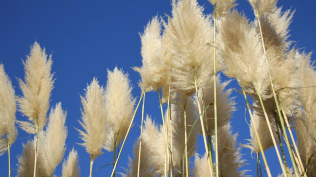 Capture d’écran 2022-07-19 à 15.11.50