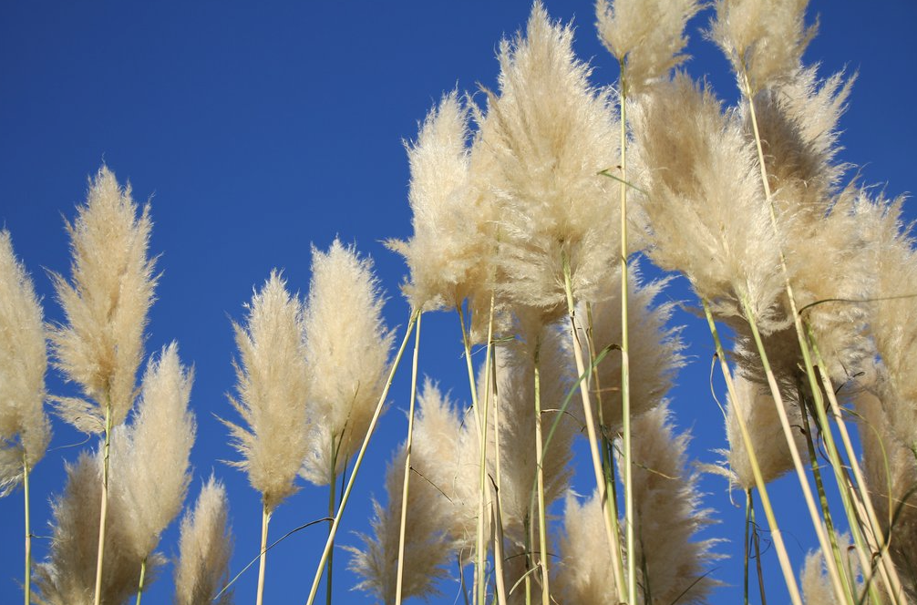 Capture d’écran 2022-07-19 à 15.11.50